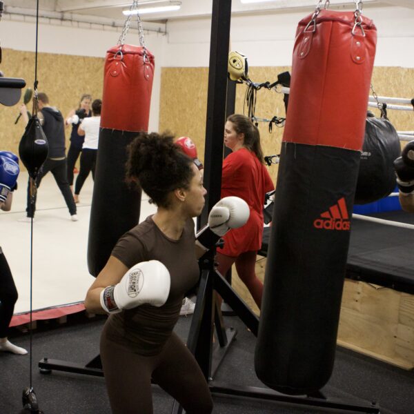 Cardio boxe 2026